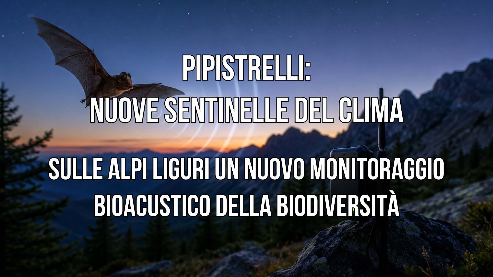 Clicca per accedere all'articolo I pipistrelli: le nuove sentinelle del clima. Sulle Alpi Liguri un nuovo monitoraggio bioacustico della biodiversità